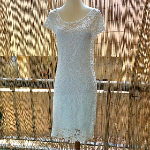 lace stretch dress